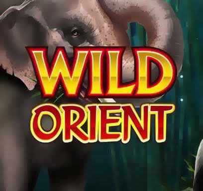 Wild Orient