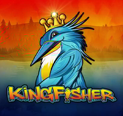 Kingfisher.