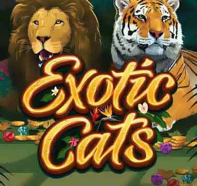 Exotic Cats