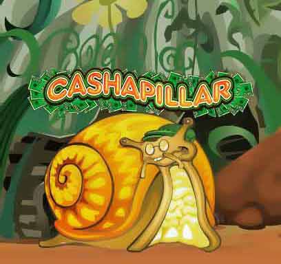 Cashapillar